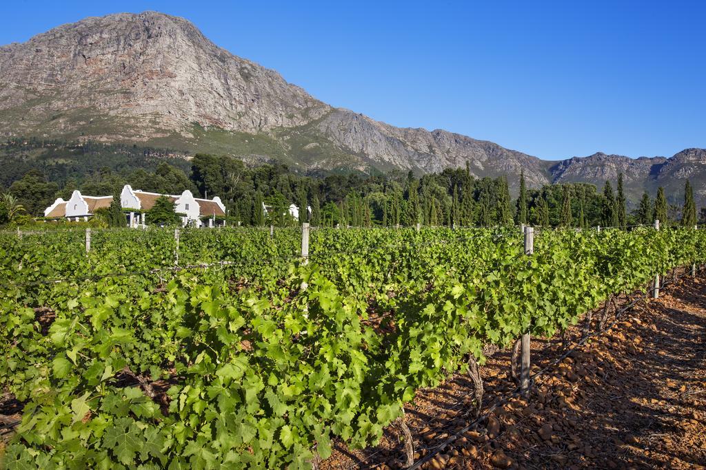 La Providence Hotel Franschhoek Eksteriør billede